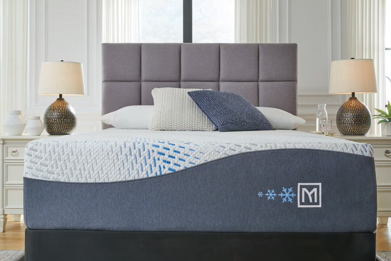 Sleep & Bedding